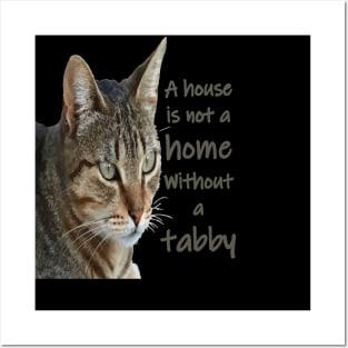 A House Is Not A Home Without A Tabby Cat Posters and Art